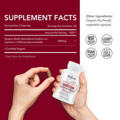 Bottle containing 120 Bloom Health Reishi Mushroom Capsules