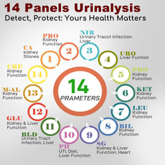 Back view of the 150-count urine test strips box