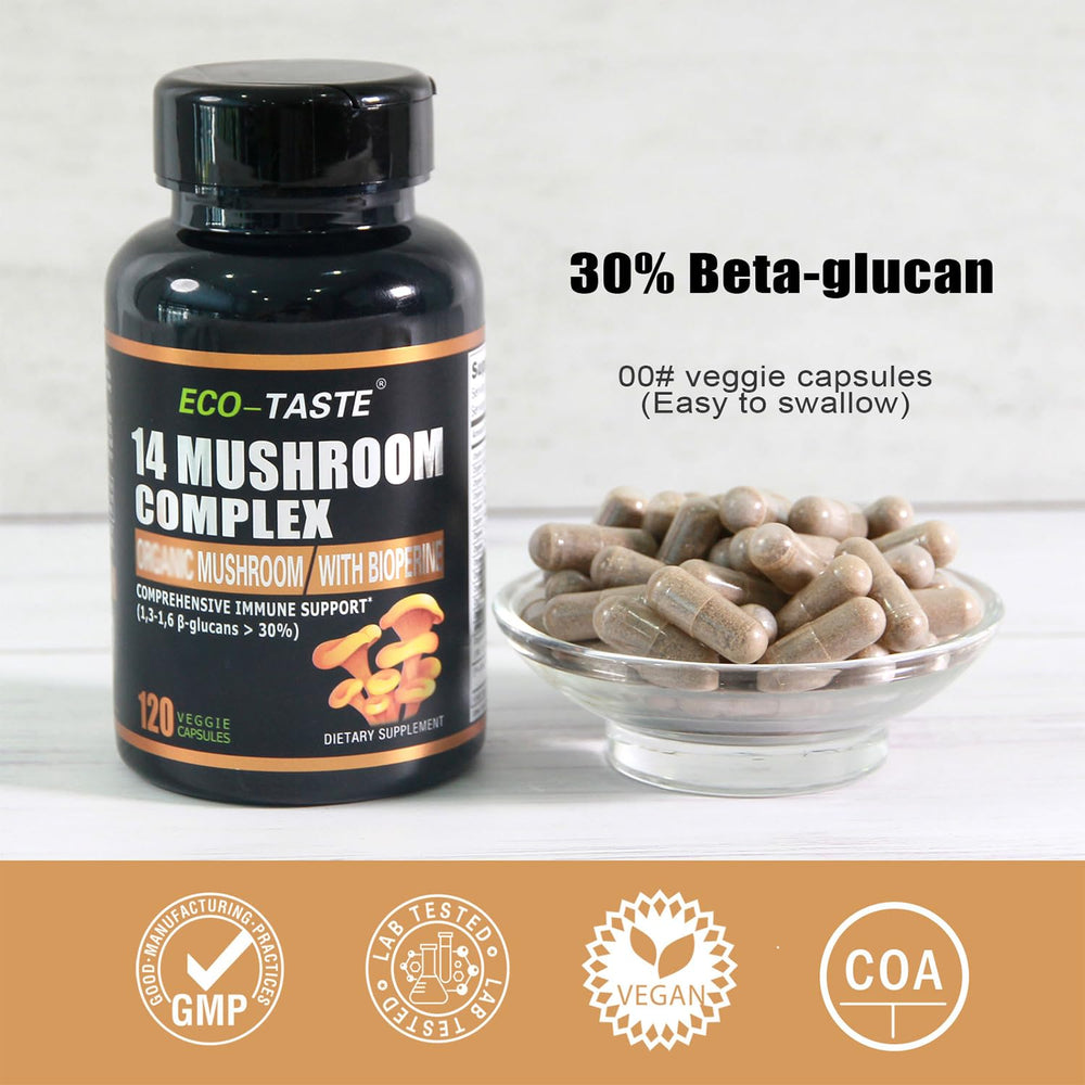 Assorted mushroom varieties used in the formula: Reishi, Lion's Mane, Maitake, Turkey Tail, Chaga
