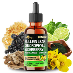 Bottle of 14in1 Mullein Liquid Drops 1 oz