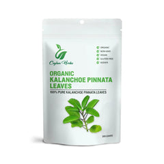 Dried Kalanchoe Pinnata leaves, 200-count, clean and organic