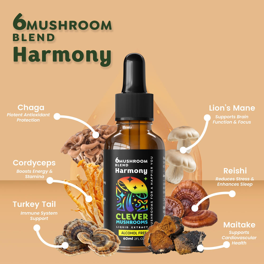Front and back view of 6 Blend Mushroom Liquid Extract bottles