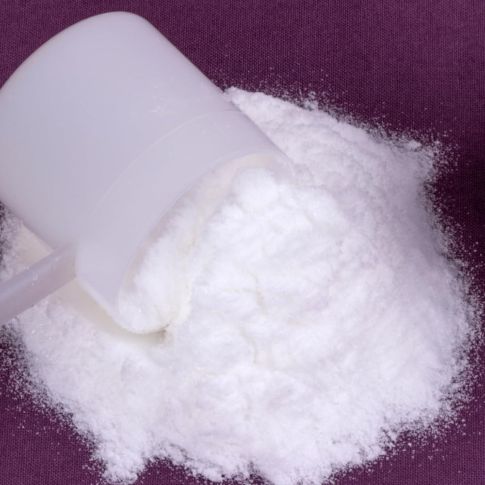 Product label showing single-ingredient formula for Acetyl L-Carnitine (ALCAR) Powder