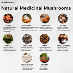 Illustration of Lion's Mane, Reishi and Cordyceps mushrooms
