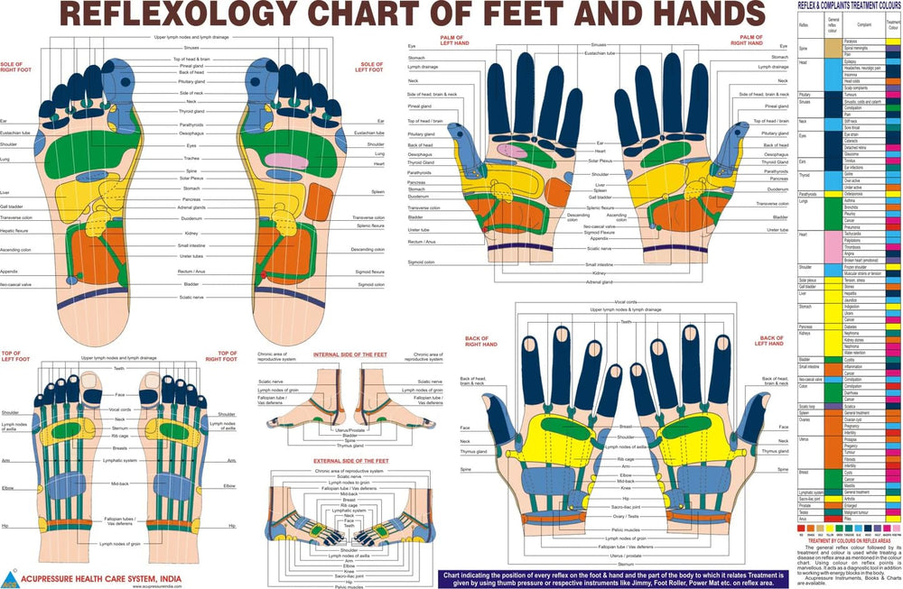 Reflexology chart showing pressure points for full body relief