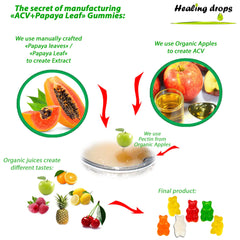 Close-up of gummies highlighting Apple Cider Vinegar and Papaya Leaf Extract content