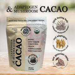 Close-up of mushroom extracts used in the product