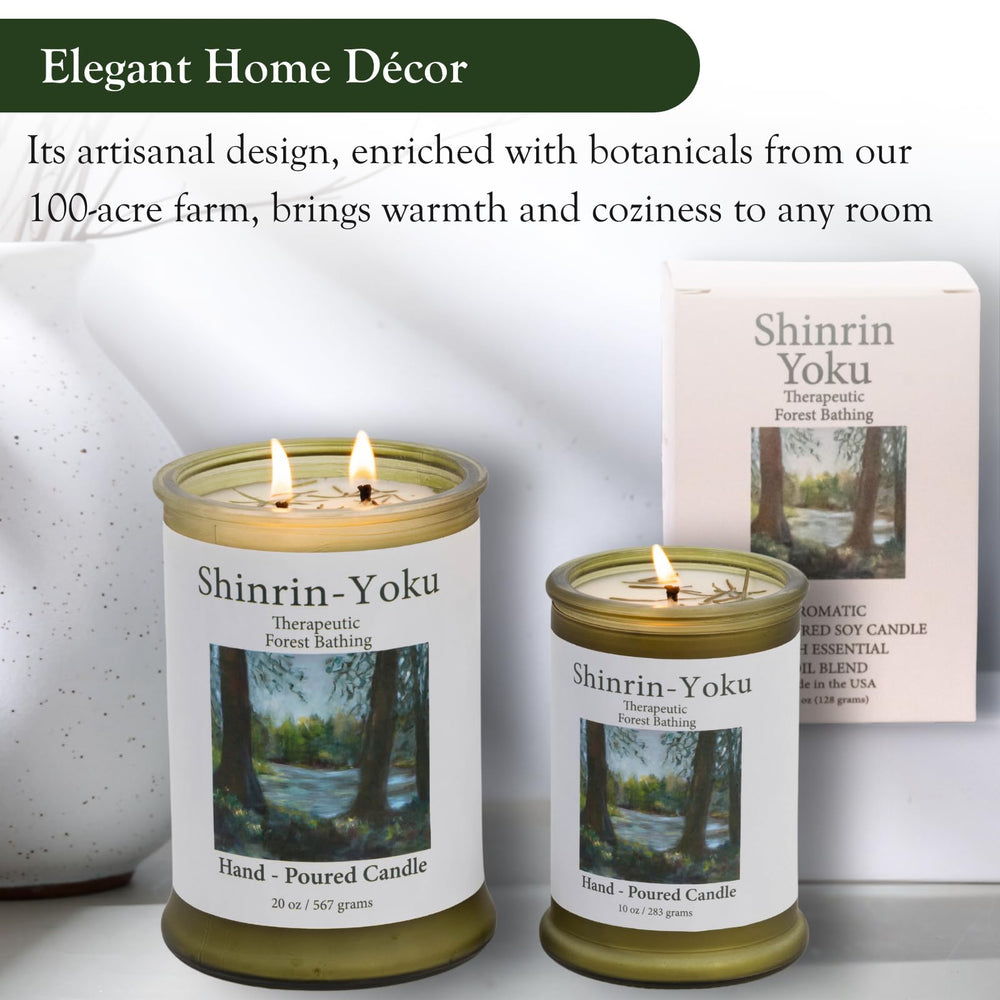 Adirondack Shinrin Yoku candle cedar balsam scent note closeup.