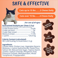 Image illustrating pet adoption support funded by sales