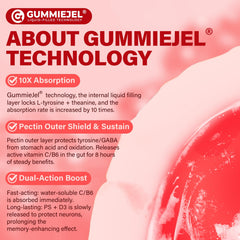 Adult focus and calm gummies serving two per day image