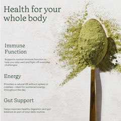 Ingredients: moringa, spirulina, chlorella and baobab laid out