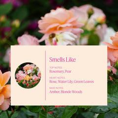 AERA 12.5 mL capsule close-up showing scented oils.