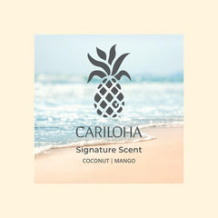 Aera Cariloha Signature refill packaging for easy, mess-free restocking.