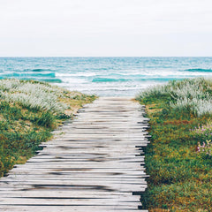 Aera diffuser controlled by Alexa and Aera app