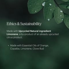 Living room scene with AERA fragrance diffusing for a fresh ambience.