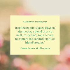 Aera Havana Breeze refill bottle shown beside packaging for mess-free replacement.