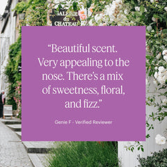 Diffuser capsule compatible with Aera Mini Diffuser