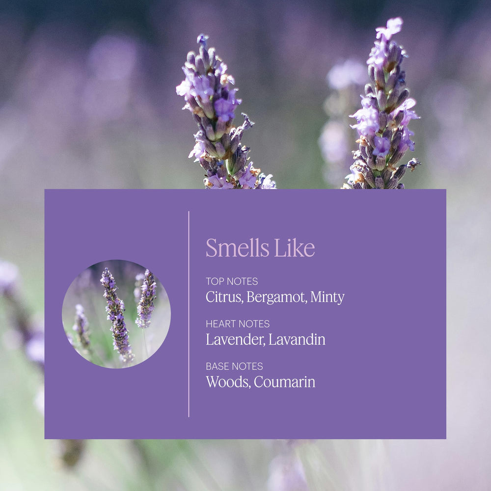 Aera diffuser compatibility with Mini Lavender refill