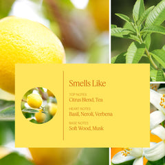 AERA Mini Lemon Neroli refill packaging highlighting sustainable design for long-lasting scent