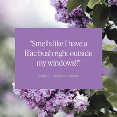 Eco-friendly packaging of Lilac fragrance capsule