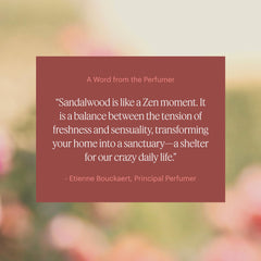 Capsule-sized scent refill for mini diffuser