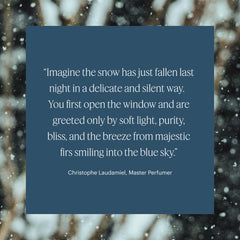 Peppermint, eucalyptus, and fir needles fragrance blend