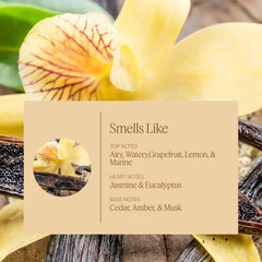 Aera Mini Vanilla scent with tonka and bourbon blend