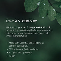 AERA Rainbow Mist room scene delivering a light, long-lasting citrus ambiance.