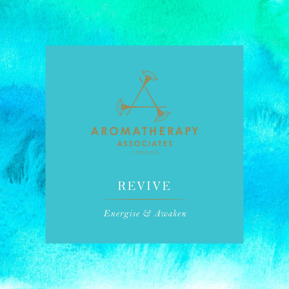 Graphic showing notes of juniper berry, rosemary and grapefruit