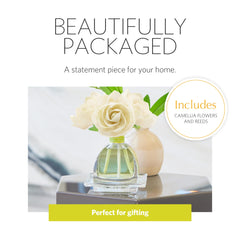 Three sola flowers with diffuser oil in AirEssence set