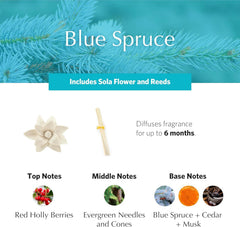 Close-up of PetiteEssence diffuser with sola flowers