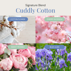 Air Esscentials Cuddly Cotton floral notes highlight cherry blossom and peonies