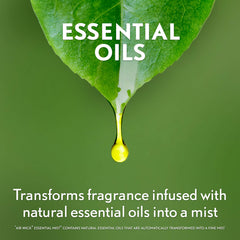 Air Wick Essential Mist Lemon Thyme refill packaging with badge