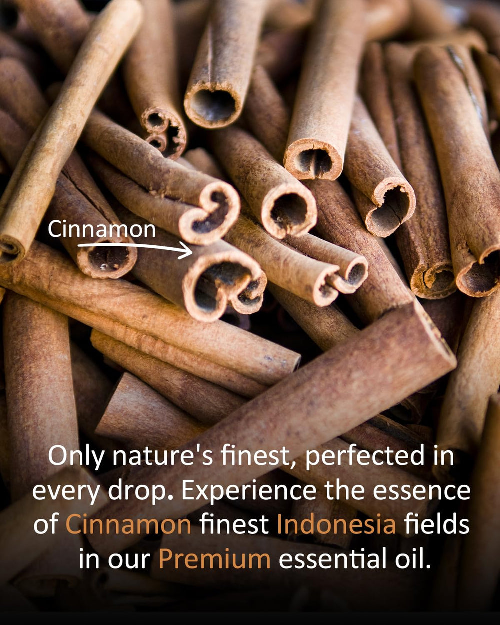 Living room diffuser using Airoomoil Cinnamon Essential Oil