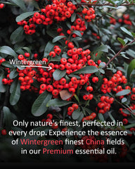 Diffuser releasing wintergreen aroma in a living room