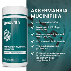 Akkermansia muciniphila illustration representing gut bacteria