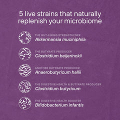 Digestive health and metabolic function synergy