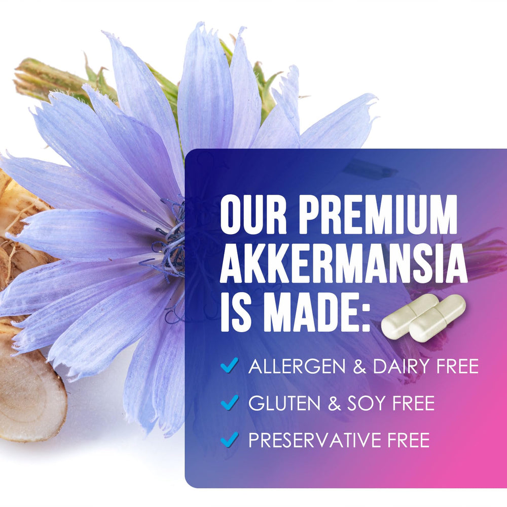 Lifestyle shot of the Akkermansia supplement on a table