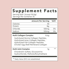 MSM Glucosamine and Chondroitin blend with collagen powder