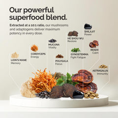 Graphic illustrating energy and focus benefits