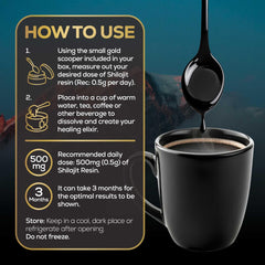 Diagram illustrating nutrient absorption with shilajit