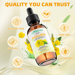 Alcohol-free vegan non-GMO mullein leaf extract drops