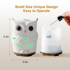 Diffuser displaying 7 color LED lights