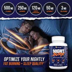 ALPHA LION Night Burn capsules ready for a nightly routine
