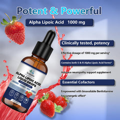 Antioxidant and cellular energy balance with ALA