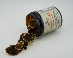 Premium amber glass jar packaging for turkey tail