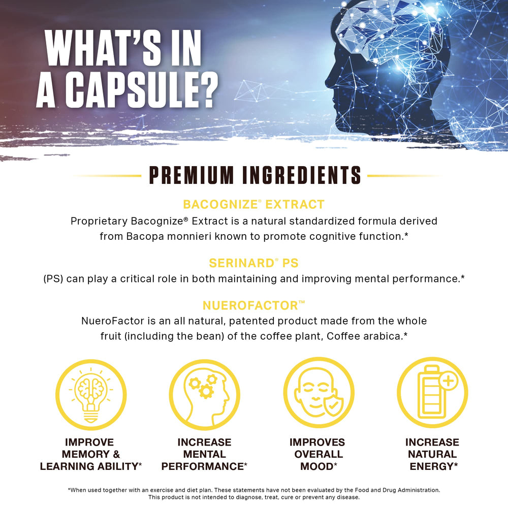 Graphic depiction of AlphaSize Alpha-GPC ingredient