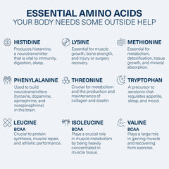 Bottle showing kidney and liver support benefits