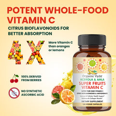 Amla berries and ingredients for vegan vitamin C