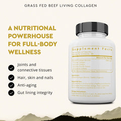 Type II collagen supports skin hair nails and joints